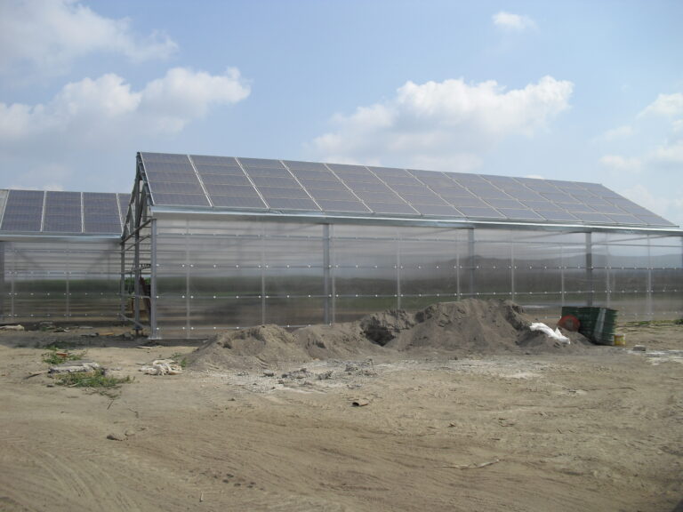 Consalt network serra fotovoltaica acerra 2009 (1)